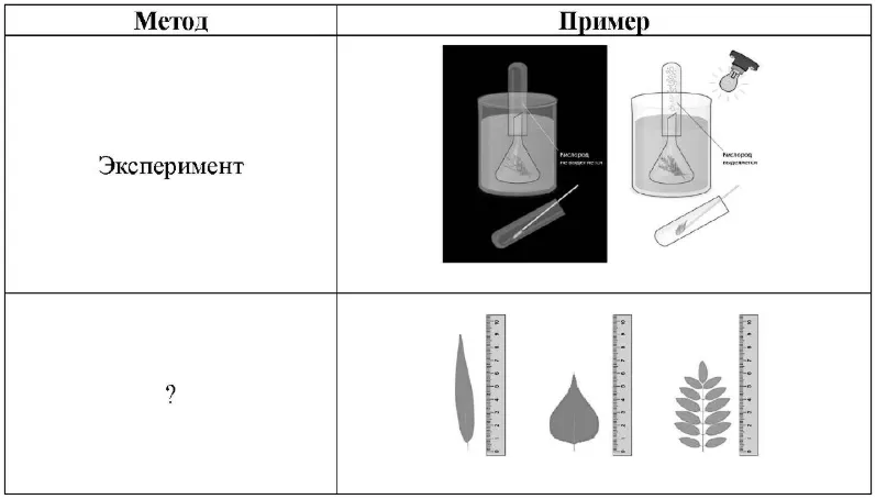 таблица Методы биологических исследований